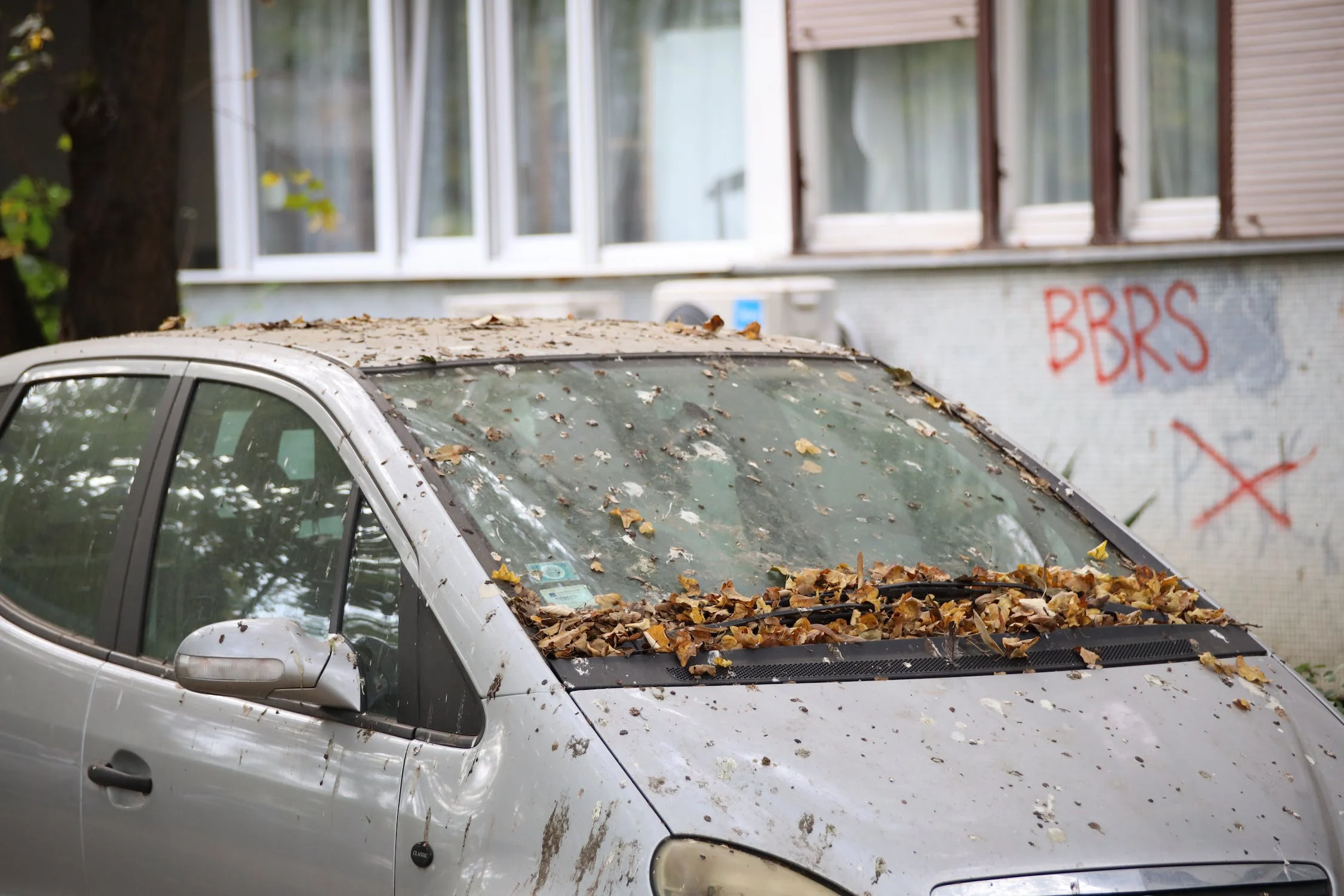špinavé auto s kapotou pokrytou listy