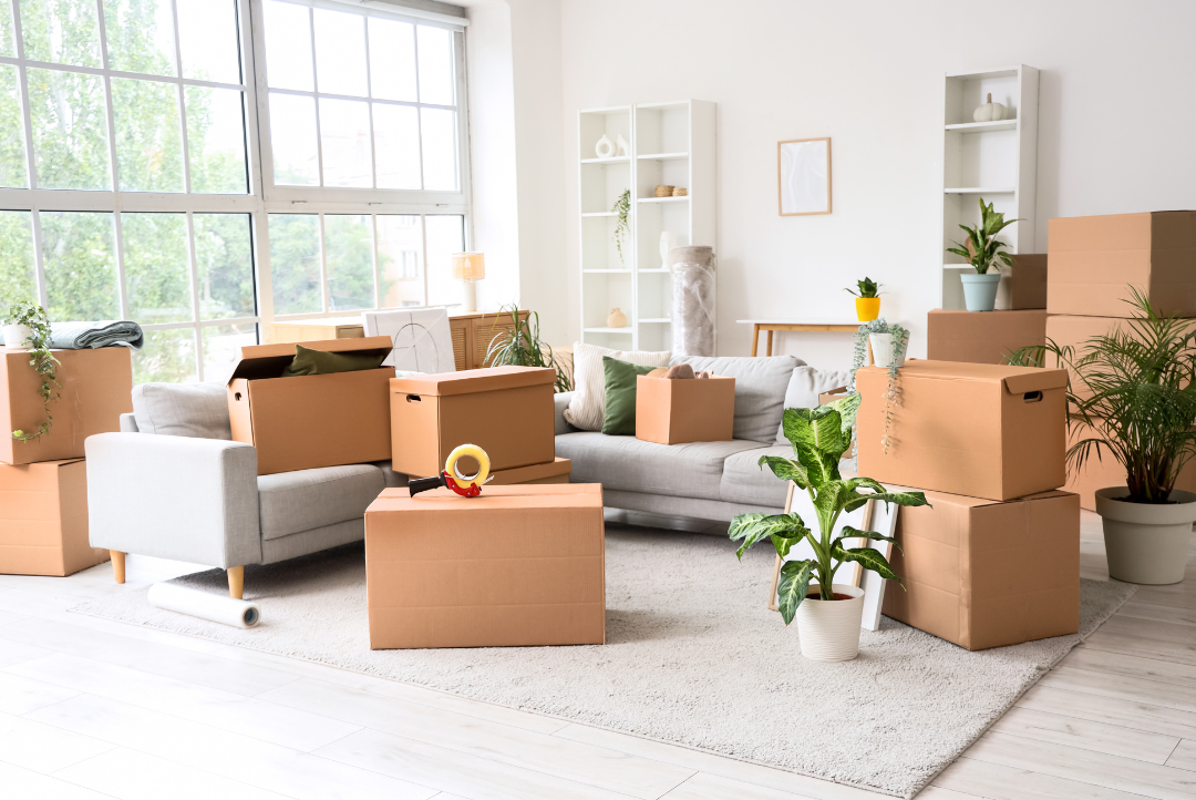 Vyklízení bytů a domů